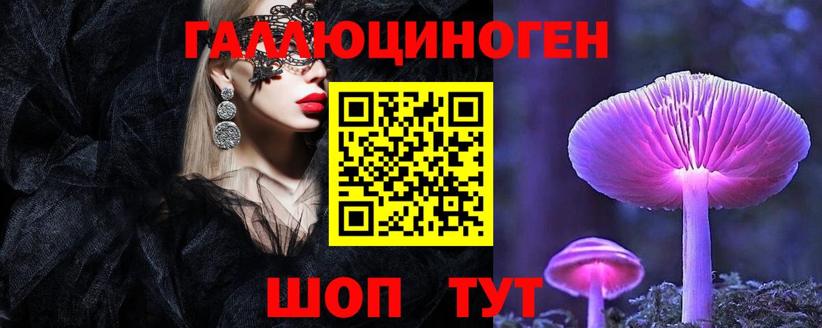 Галлюциногенные грибы Cubensis Вязьма
