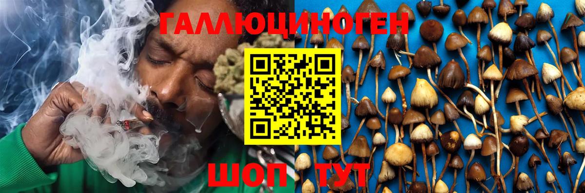 где найти   Вход с VPN  Вязьма  Псилоцибиновые грибы Magic Shrooms 
